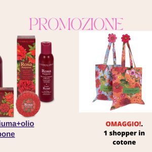 Rosa Purpurea promozione